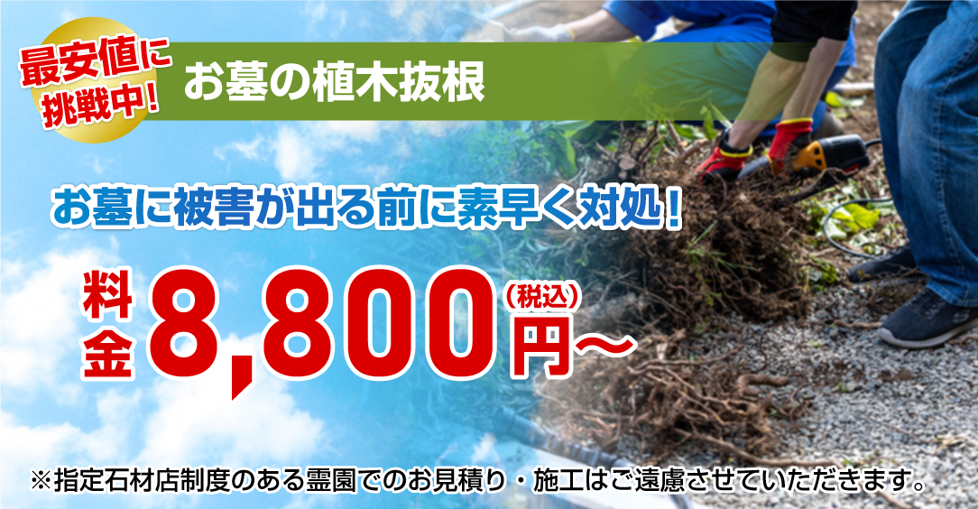 お墓の樹木抜根